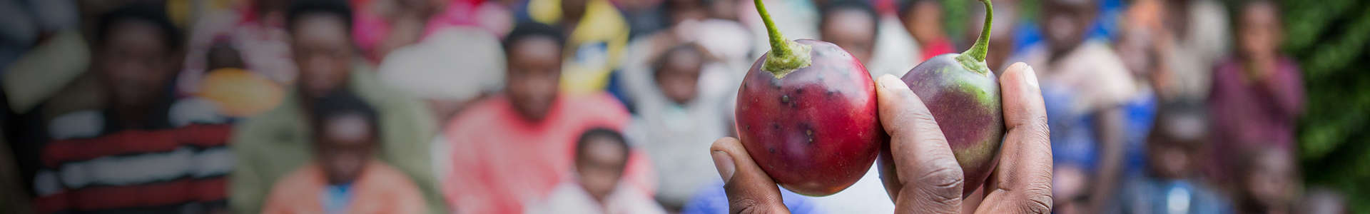 Photo of fruit being held up during a lecture on nutrition